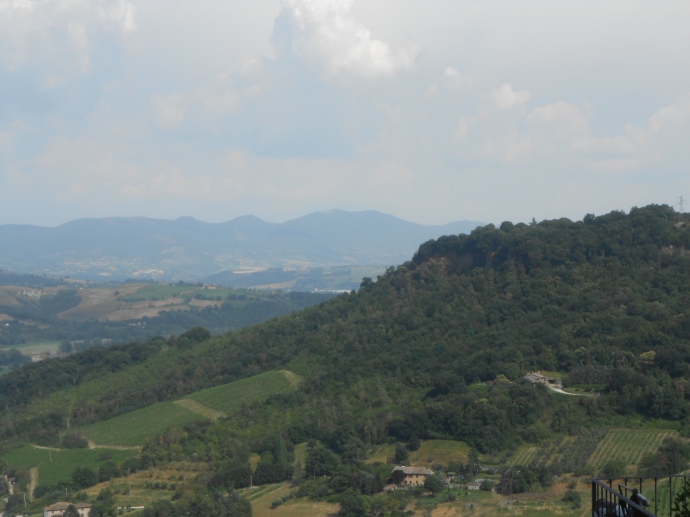 The countryside near Orvieto